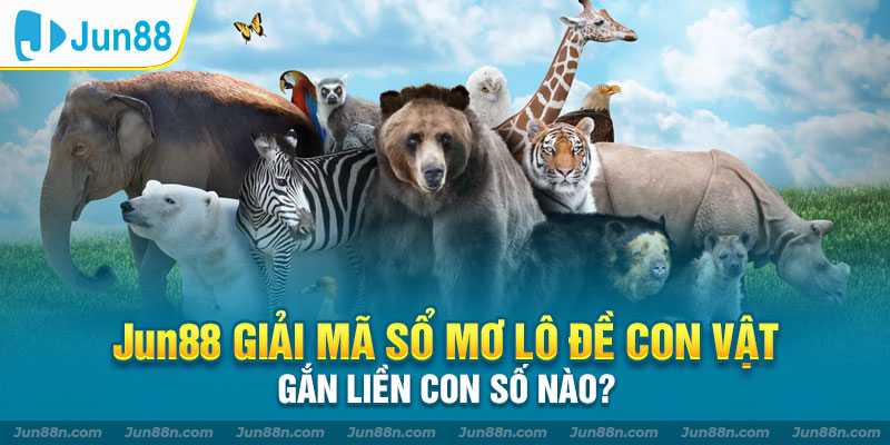 JUN88 giải mã sổ mơ lô đề con vật gắn liền con số nào?
